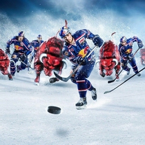 29 января   на ледовой площадке спортивного комплекса      «Ипподром-Арена» стартуют областные соревнования по хоккею среди муниципальных районов Самарской области